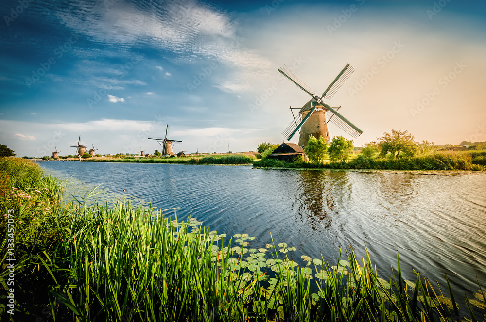 Historians Dutch windmills near Rotterdam - obrazy, fototapety, plakaty 