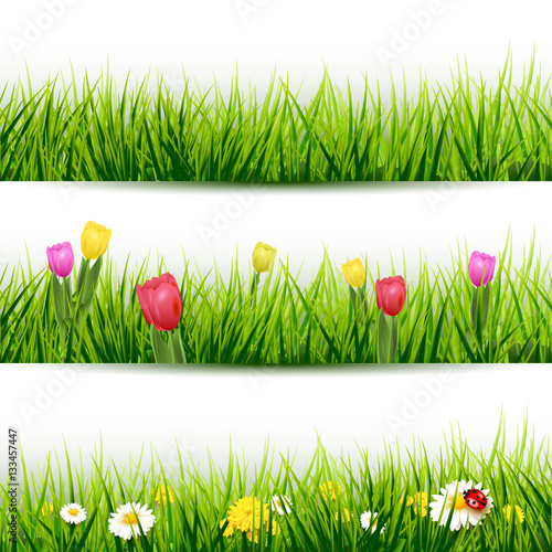Set of grass borders