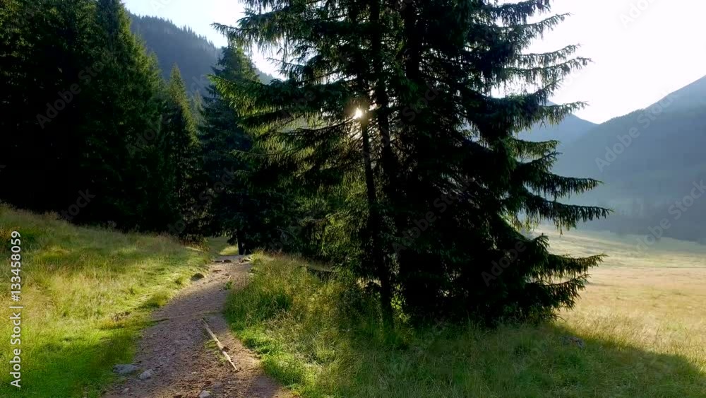 Dawn in the valley Chocholowska, Tatra Mountains, Poland Dawn in the valley Chocholowska, Tatra Mountains, Poland