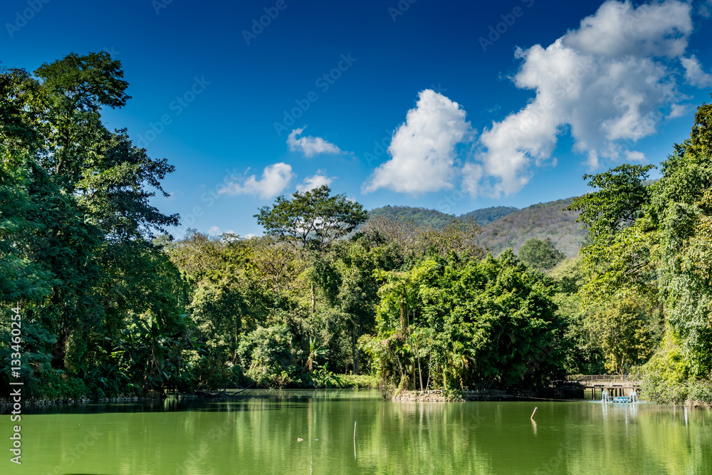 Fototapeta premium Mountain trees and green lake