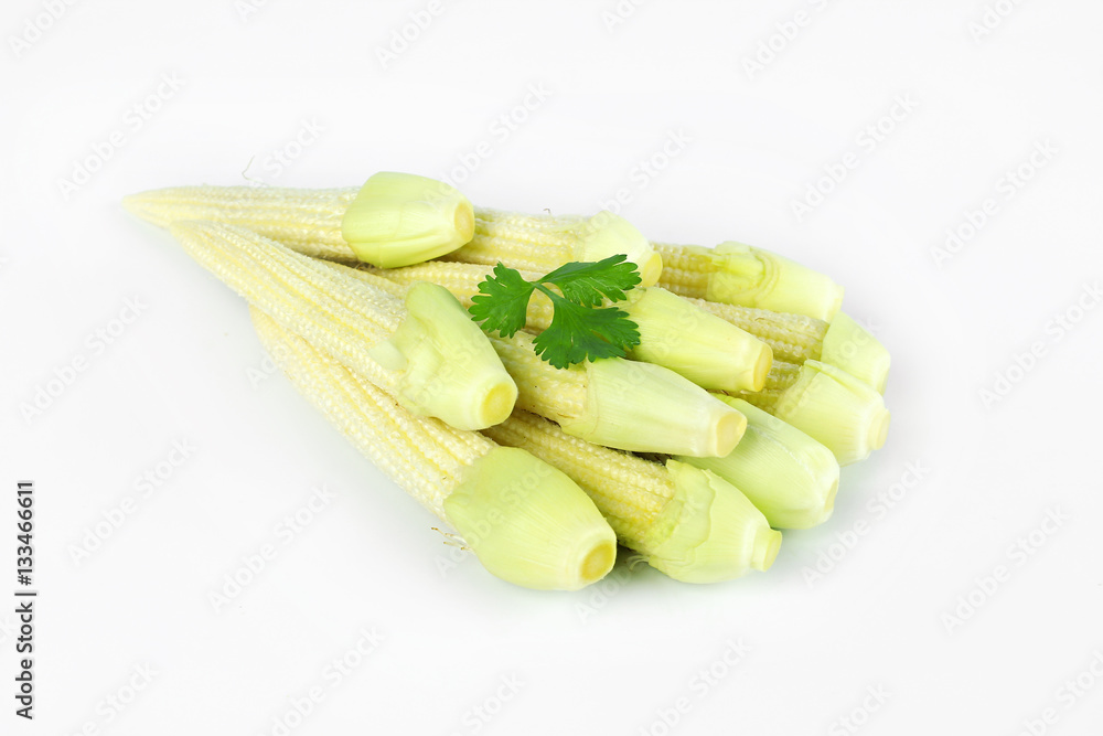 baby corn with dew drop prepare for cooking baby corn with dew drop prepare for cooking