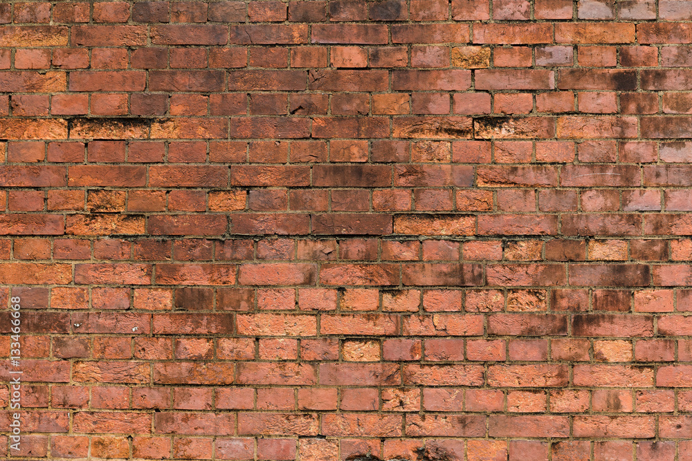 Obraz premium Brick wall texture