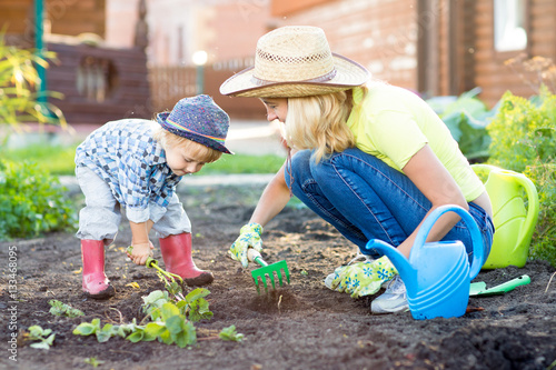 Kid and mother planting strawberry seedling into fertile soil outside in garden photo