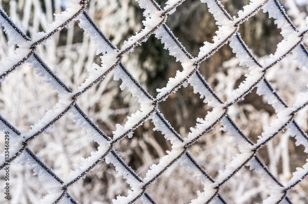 Fototapeta premium Wire fence completely covered with frost