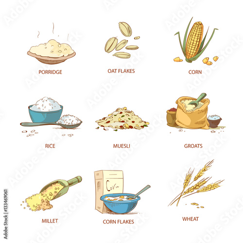 Cartoon ripe ears of cereals, countryside plants vector set