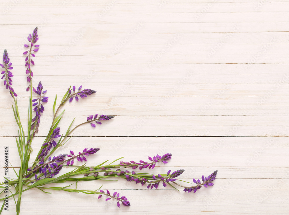 Fototapeta premium flowers on white wooden background