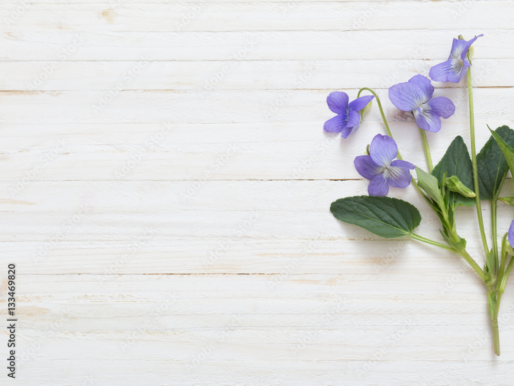 violet flowers on old wooden background violet flowers on old wooden background