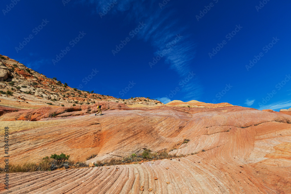 Naklejka premium Utah landscapes