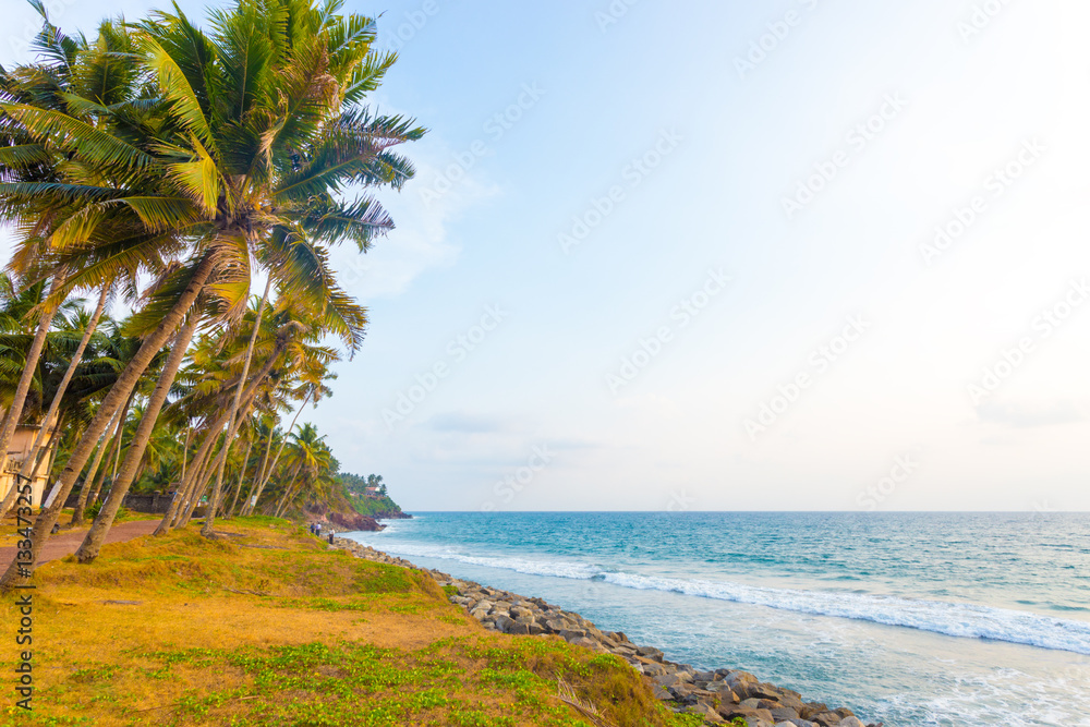Varkala Coast Grass Palm Trees Ocean H