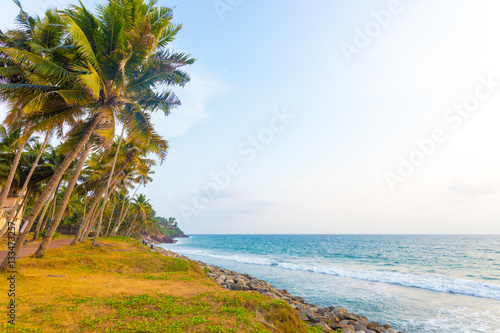 Varkala Coast Grass Palm Trees Ocean H