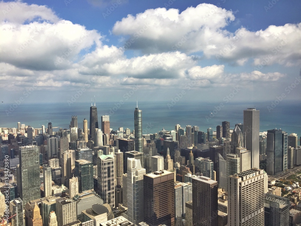 Fototapeta premium chicago downtown