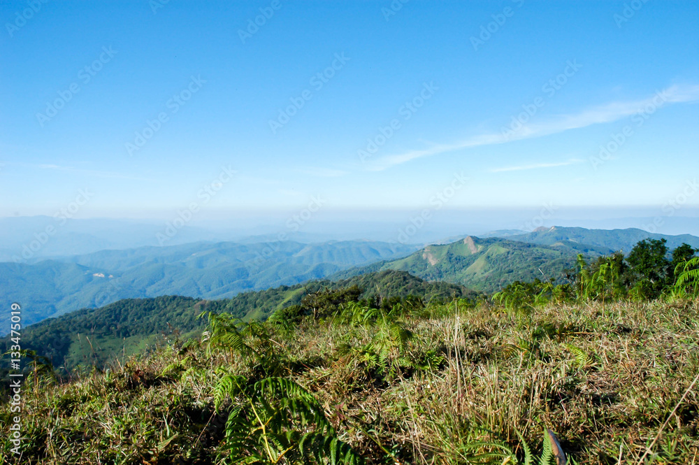 green hill on blue sky background