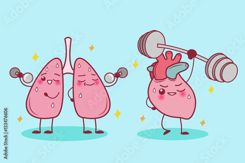  heart and lung do sport
