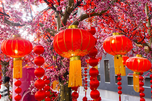 Chinese lanterns during new year festival