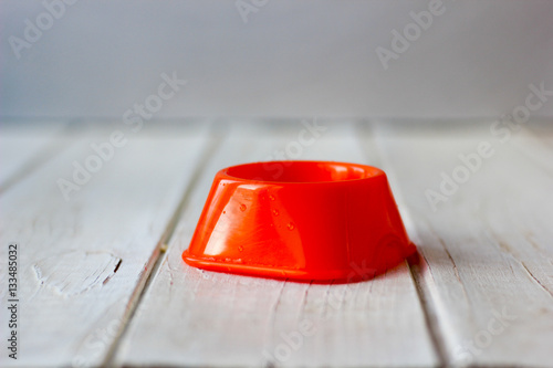 Empty cat bowl. Photo witho...