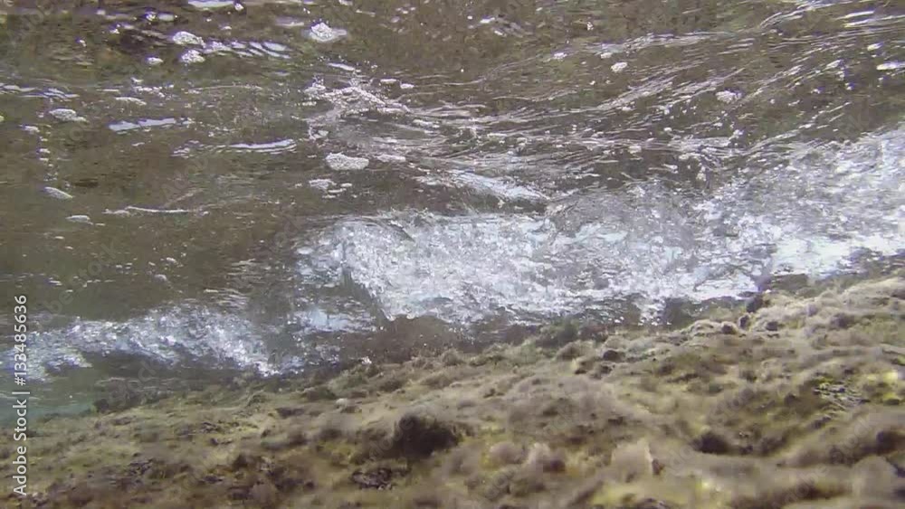 vision from subt 'water of rocks with algae that move to the waves. vision from subt 'water of rocks with algae that move to the waves.