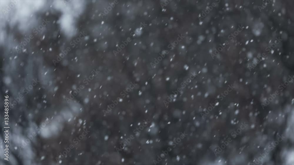 Fluffy snowflakes falling from the sky slow motion from 120fps Fluffy snowflakes falling from the sky slow motion from 120fps