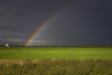 Rainbow in a field. Russia.