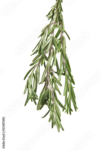 rosemary