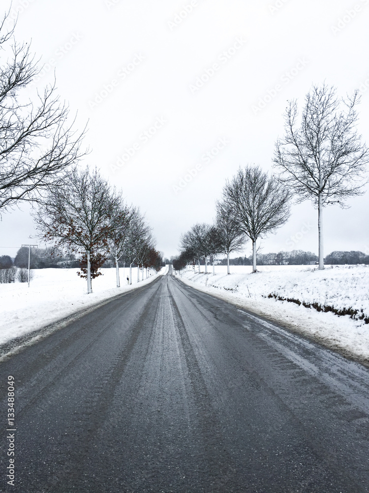 Winter road in snowy landscape