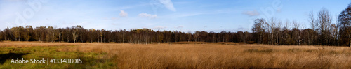 Panoramablick vom Dosenmoor in Schleswig-Holstein