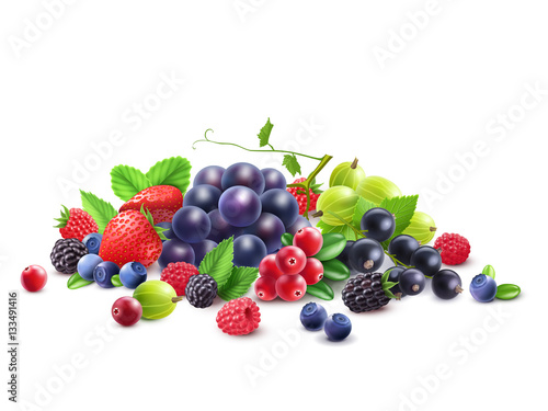 Ripe Berries Template