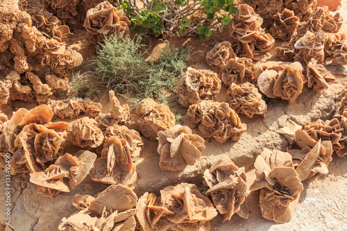 Canvas-taulu Stone desert roses