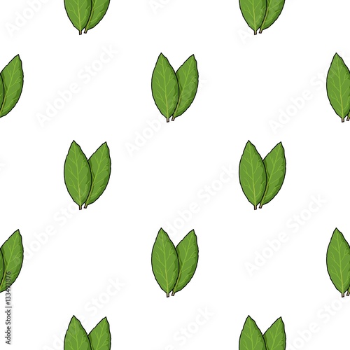 Laurus icon in cartoon style isolated on white background. Herb an spices symbol stock vector illustration.