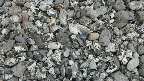 close-up of flintstone at rugen island chalk rock cliff photo