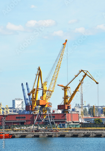 Cargo crane and train