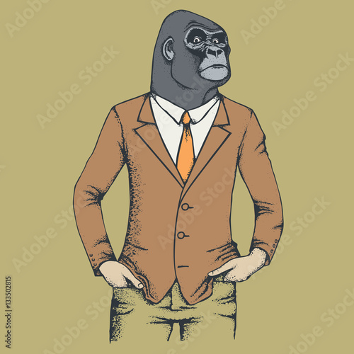 Monkey gorilla vector illustration