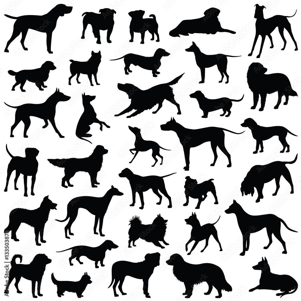 Dog collection - vector silhouette Dog collection - vector silhouette