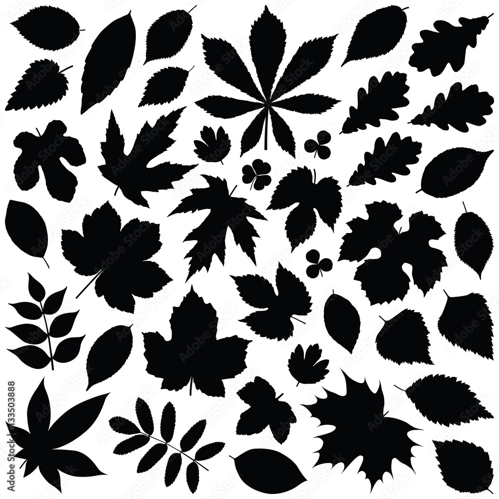 Leaf collection - vector silhouette