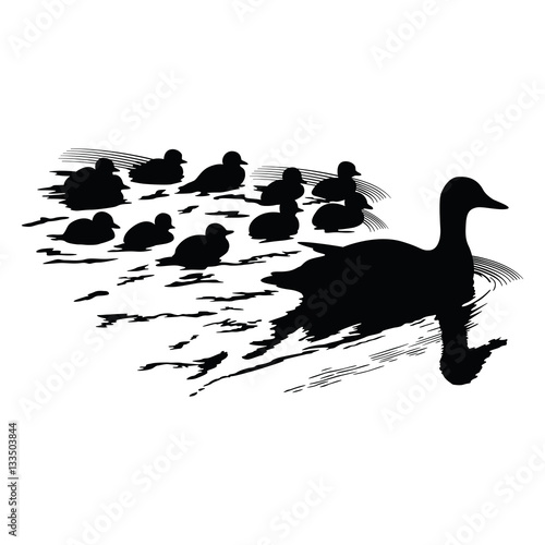 Mother duck with little ducklings swimming - vector silhouette
