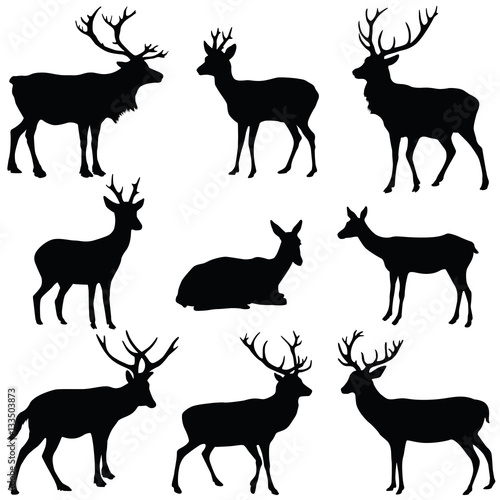 Deer collection - vector silhouette © Hein Nouwens