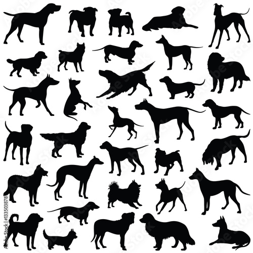 Dog collection - vector silhouette