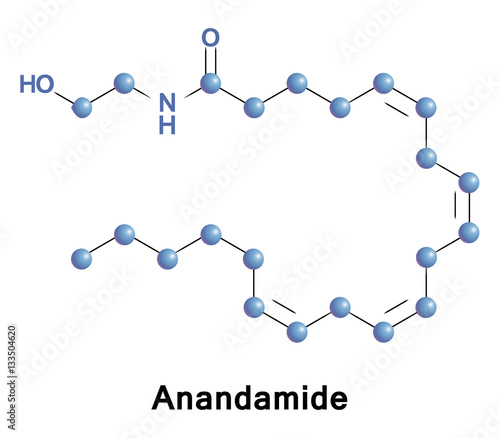 Anandamide, or AEA, is a fatty acid neurotransmitter derived from the non-oxidative metabolism of arachidonic acid an essential omega-6 polyunsaturated fatty acid