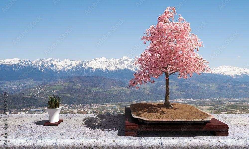 Naklejka premium Bonsaï de cerisier en fleur