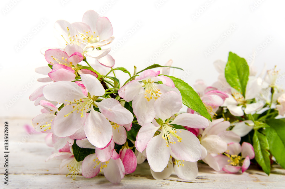 Glückwunsch, alles Liebe:  Kirschblüten vor weißem Holz :)