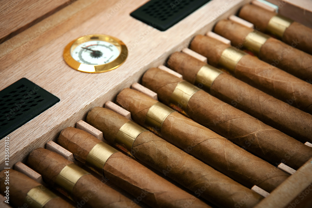 cigars in the humidor - obrazy, fototapety, plakaty 