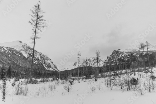 Winter landscape, view of misty mountain © Laszlo