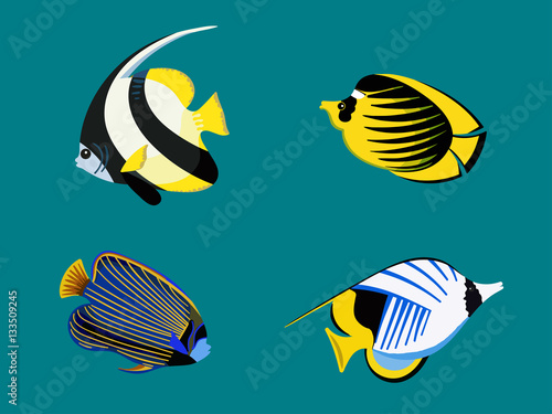Ocean exotic fish set. Underwater red sea collection photo