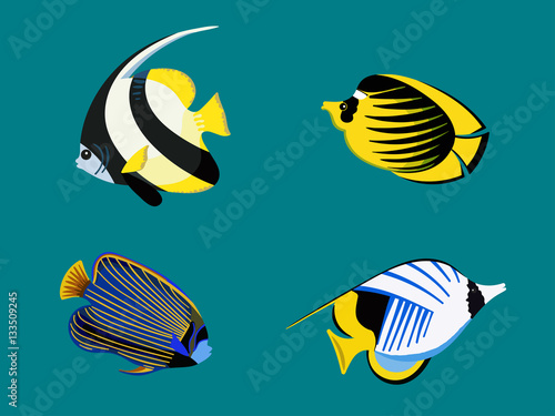 Ocean exotic fish set. Underwater red sea collection