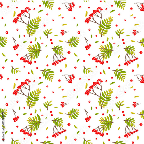 Seamless background with rowanberry and leafs