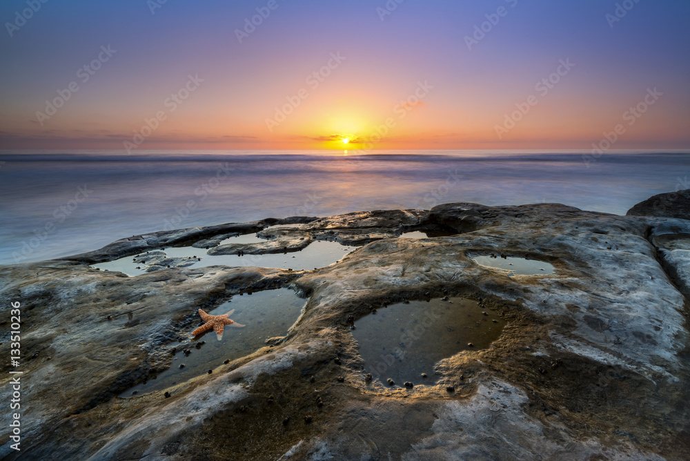 Starfish in a tide pool during a sunset 