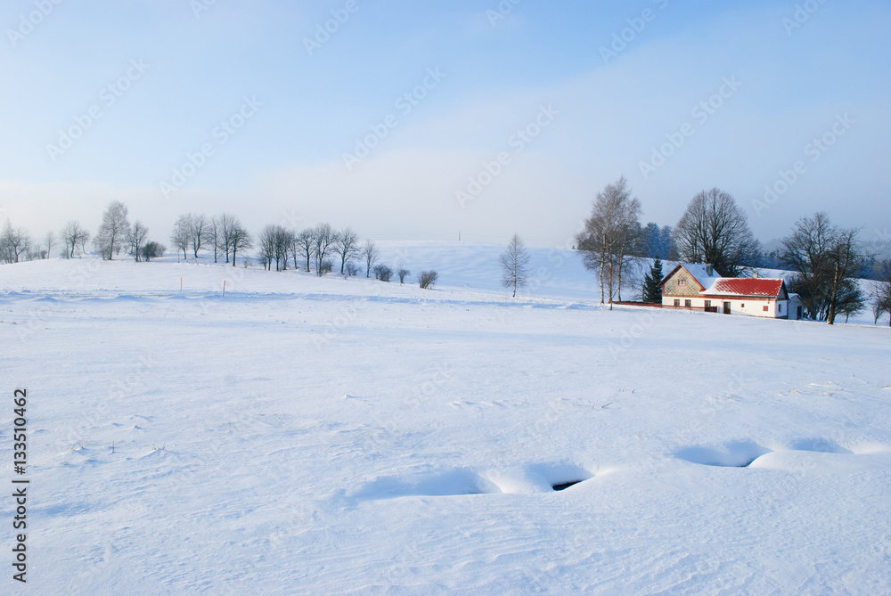 czech landscape in the winter