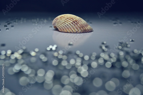 Sea Shell with Crystals Bokeh