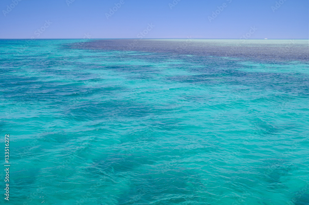 Red Sea, background, clean blue water, coral reef