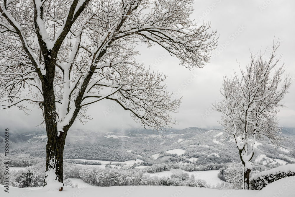 Fototapeta premium Snowy landscape with Trees and Mountains