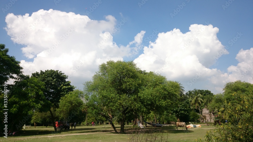 CLOUDS AND FIELD